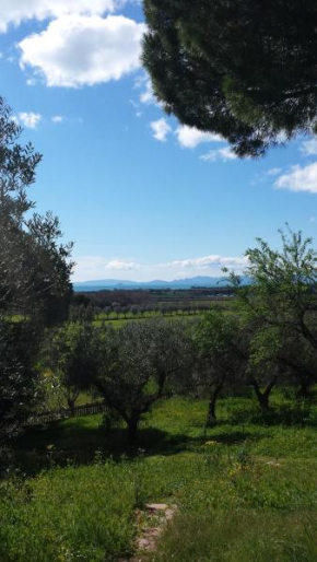 Agriturismo Tenuta di Vignale